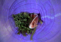   Clownfish taken closed anemone. Nikon D200 micro 60mm anemone  